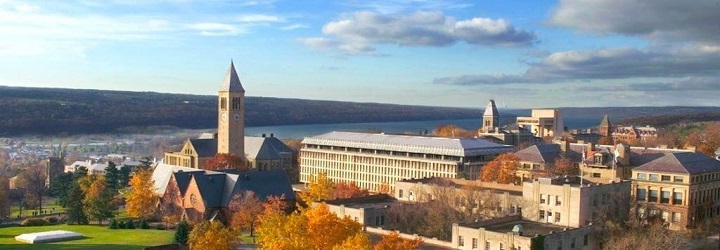 cornell